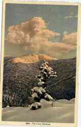 The Lone Sentinel Cannon Mountain Franconia Notch, NH Postcard Postcard