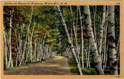 Shelburne Memorial Highway White Mountains, NH Postcard Postcard