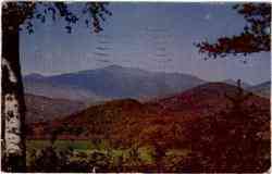 Mt Washington From Intervale Postcard