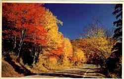 Fall Splendor at Twin Mountain Postcard