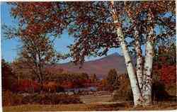 Mt. Chocorua Postcard