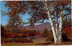 Mt. Chocorua White Mountains, NH Postcard Postcard