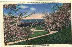 Beautiful Springtime Scene Winchester, VA Postcard Postcard