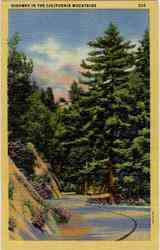 Highway in the California Mountains Postcard