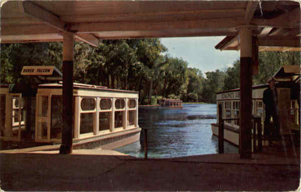 Glass bottom boats at world famous Fla.'s Silver Springs Florida