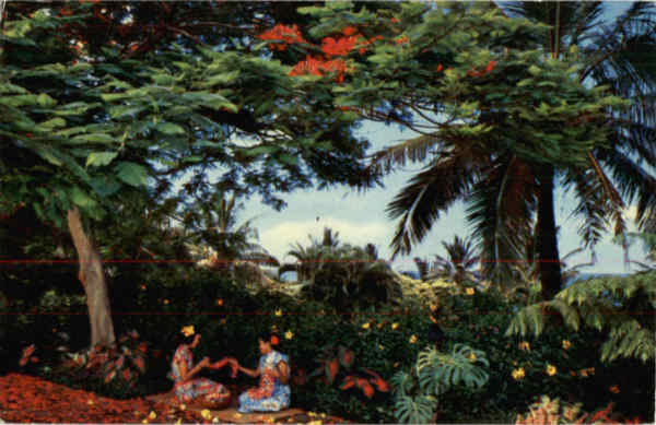 The Lei Makers Scenic Hawaii