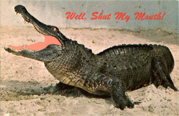 Well, Shut My Mouth - Alligator Alligators