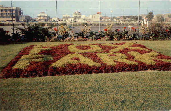 Fox Park Floral Design Wildwood-By-The-Sea New Jersey