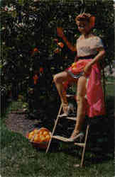 Florida Oranges Postcard
