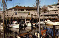 Fisherman's Wharf Postcard