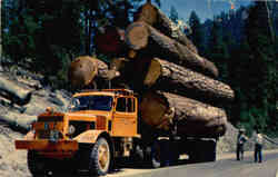 Logging Truck Redding, CA Postcard Postcard