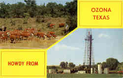 Howdy from Ozona Texas Postcard 