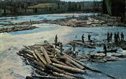 Annual spring log drive White River, Bells Falls Thessalon, ON Canada Ontario Postcard Postcard