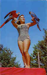 Beautiful Girl with Parrots Postcard