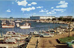 Burnham Park Yacht Harbor Chicago, IL Postcard Postcard