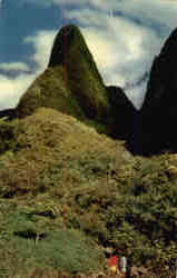 The Needle Postcard