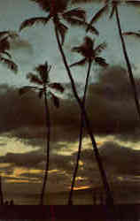 Sunset in Hawaii Postcard