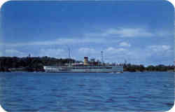 Luxury Yacht Dolphin Postcard