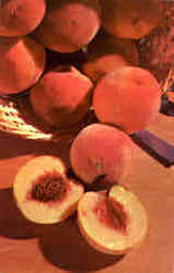 Peaches Postcard