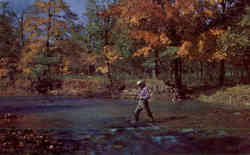 Trout Fishing in Famous Catharine Creek Postcard