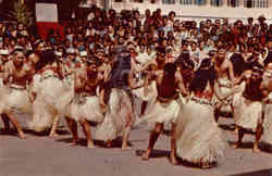 Tamure Twist Postcard