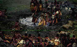 Fijian Firewalking South Pacific Postcard Postcard