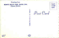 back