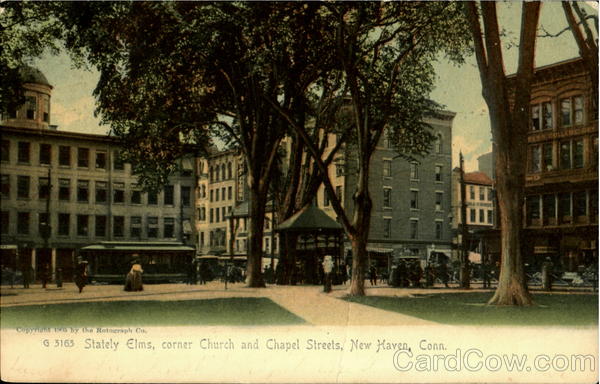 Stately Elms Corner Church and Chapel Streets New Haven Connecticut