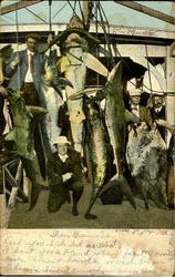 Stock #69917 Thumbnail