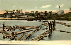 Slucing Logs Postcard