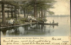 Chauncy Park from the Lake Postcard