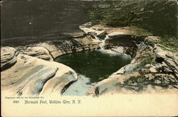 Mermaid Pool Mermaid Pool