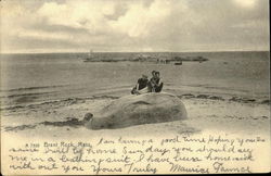 Brant Rock Postcard