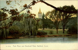 Park River and Bushnell Park Postcard