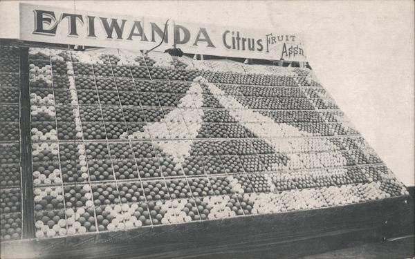 Etiwanda Exhibit National Orange Show 1913 San Bernardino California