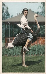 Riding and Ostrih, Cawston Ostrich Farm Postcard