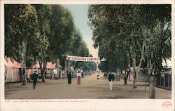 The Canvas City Avalon Postcard