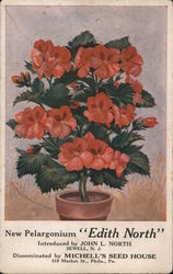New Pelargonium "Edith North", Michell's Seed House Postcard