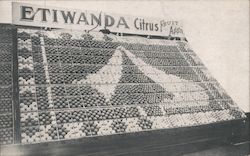Etiwanda Exhibit National Orange Show 1913 Postcard