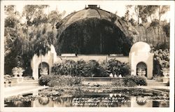 Botanical Gardens Postcard