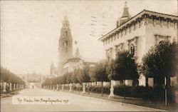 The Prado 1915 Panama-California Exposition Postcard Postcard Postcard