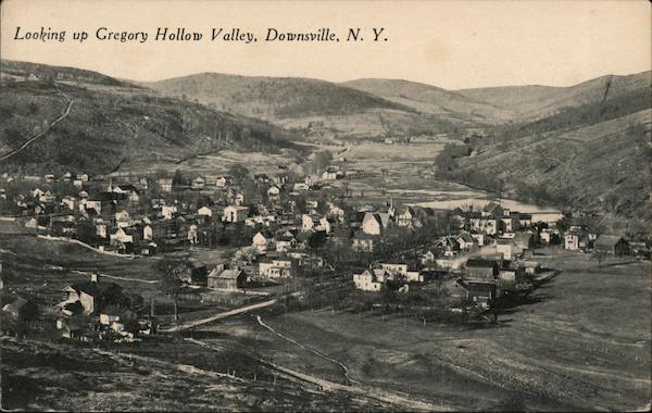 Looking up Gregory Hollow Valley Downsville New York