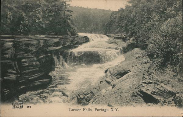 Lower Falls Portage New York