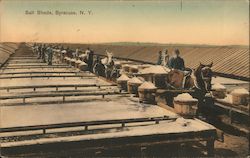 Salt Sheds Postcard