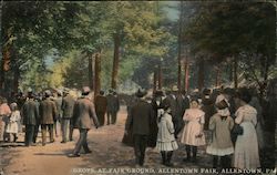 Grove at Allentown Fairgrounds Postcard