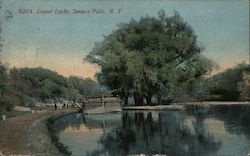 Lower Locks Postcard