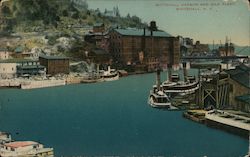 Whitehall Harbor and Silk Plant Postcard