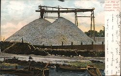 A Pile of James River Oyster Shells Postcard