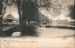 View in Dorney Park Postcard