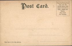 back